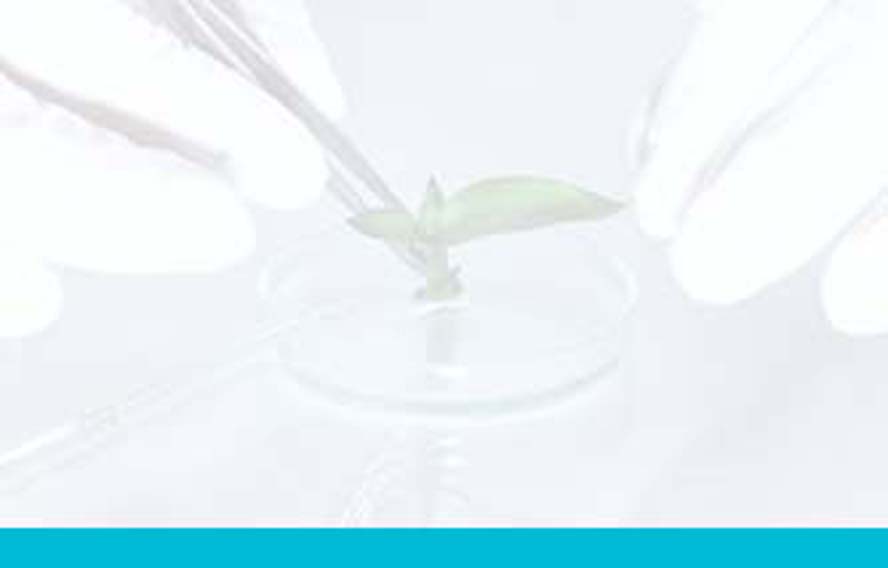 MedMonde_Product_Project_Services_2_big